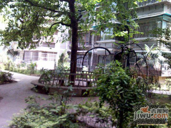 绿景家园实景图图片