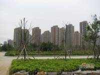 金元国际新城实景图图片