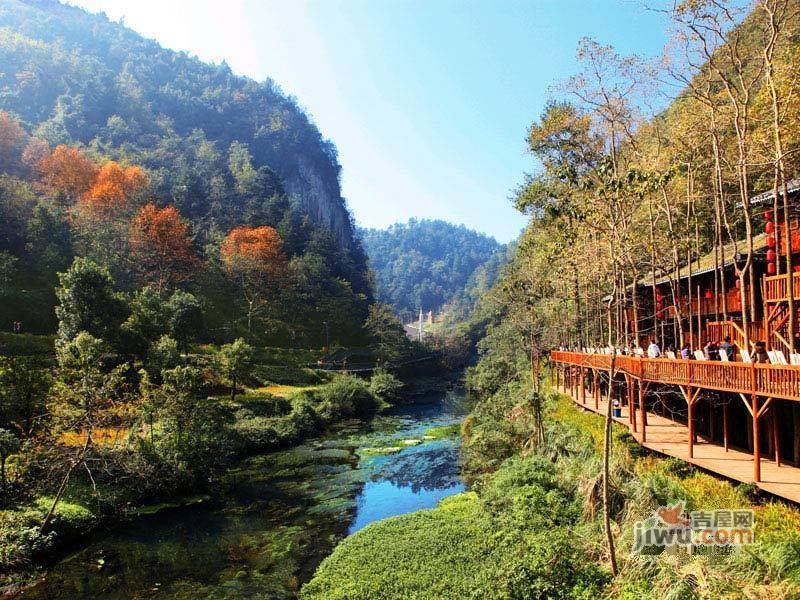 花果园实景图图片