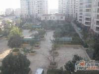 金枫苑实景图6