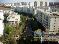 金枫苑实景图6