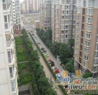 金枫苑实景图6