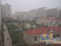 金枫苑实景图6