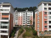 警苑小区效果图