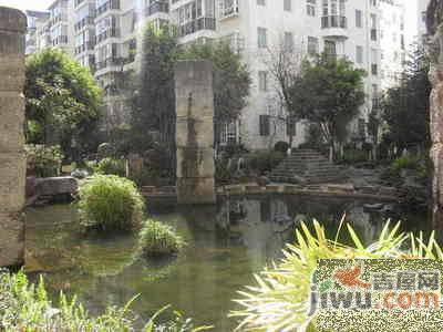 四季花语实景图图片