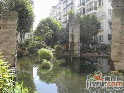 四季花语实景图图片