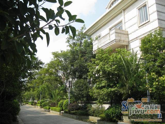 机电小区实景图图片