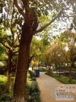 时代风华二期实景图39