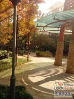 时代风华二期实景图39