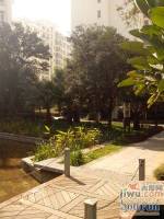 时代风华二期实景图39