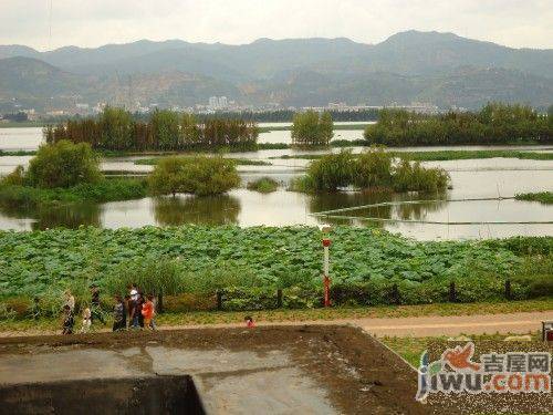 阳光海岸实景图图片