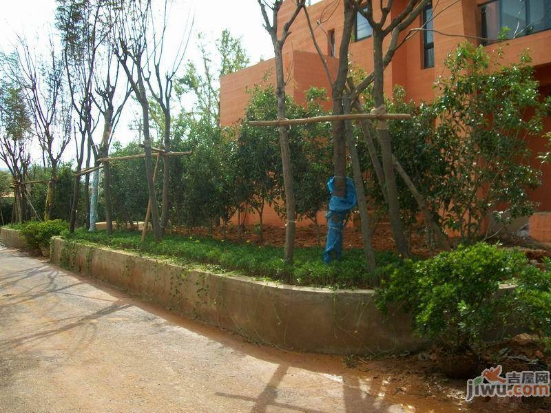 野鸭湖酩悦台实景图图片