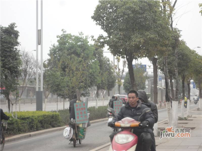 樱花语幸福里实景图图片