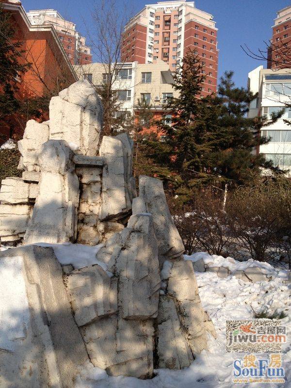 亚泰桃花苑实景图图片