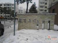 长飞小区实景图7
