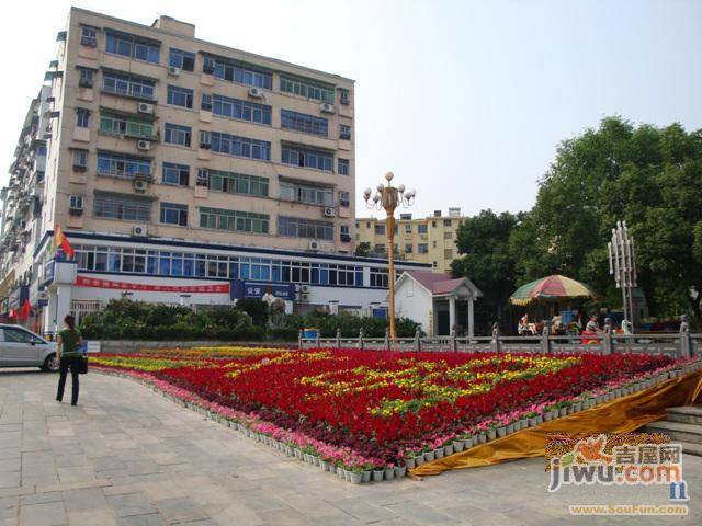 象山南路实景图图片