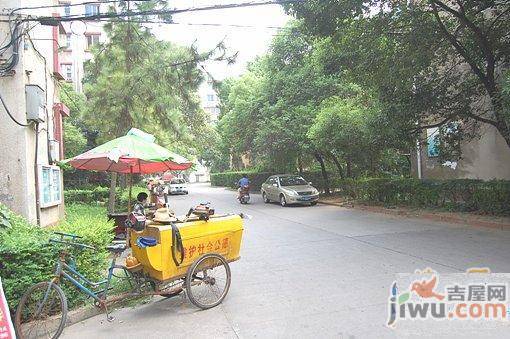 桃苑一区实景图图片