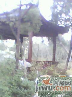 清豪仙湖别墅实景图图片