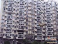 滨江庄园实景图图片