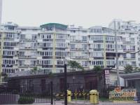 滨江庄园实景图图片