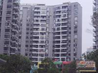 滨江庄园实景图图片