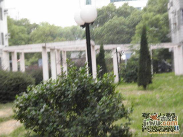 江山花园实景图图片