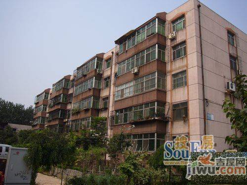 河北楼实景图图片