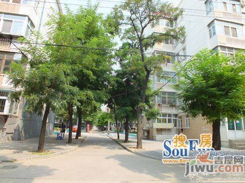建达楼实景图图片