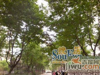 振兴楼实景图图片