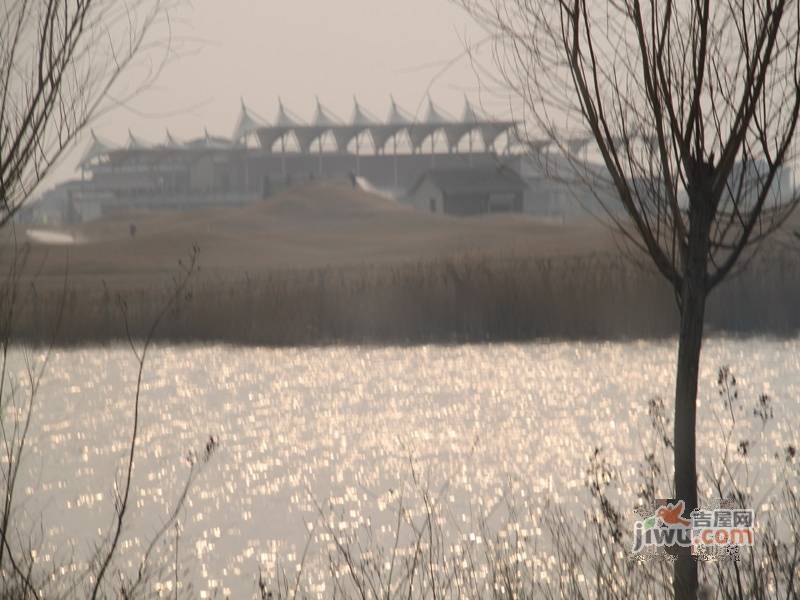 曹妃湖红树湾实景图图片