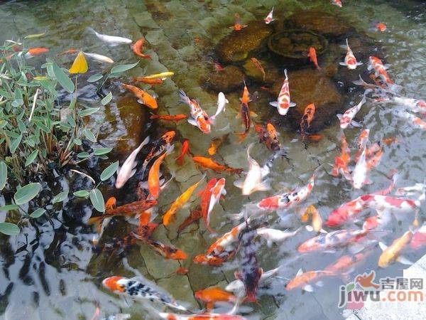 帝璟东方实景图图片