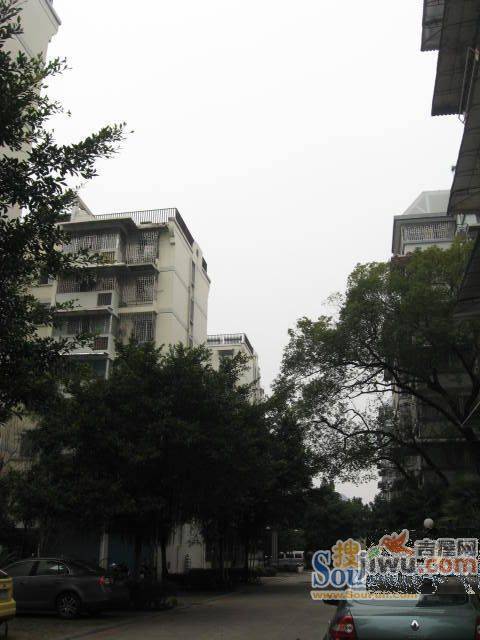 粮油小区实景图图片