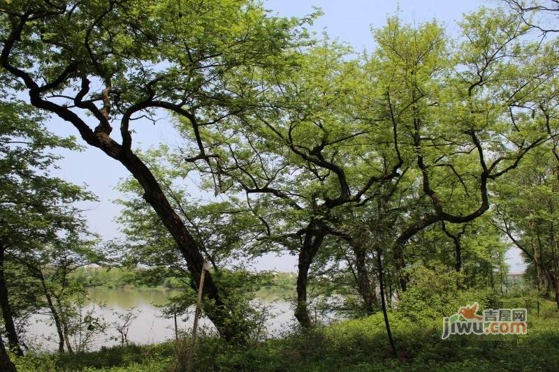 漓江蓝湾实景图图片