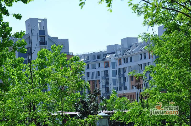 大学城博雅居二期实景图图片