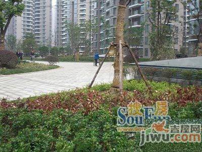 滨湖世纪城徽贵苑实景图图片