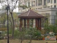 绿城桂花园实景图图片