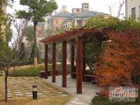 绿城桂花园实景图图片
