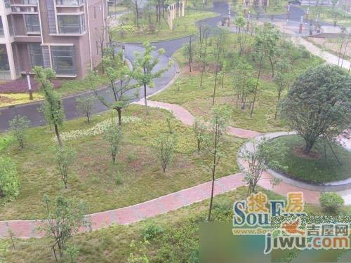 望湖城和欣家园实景图图片