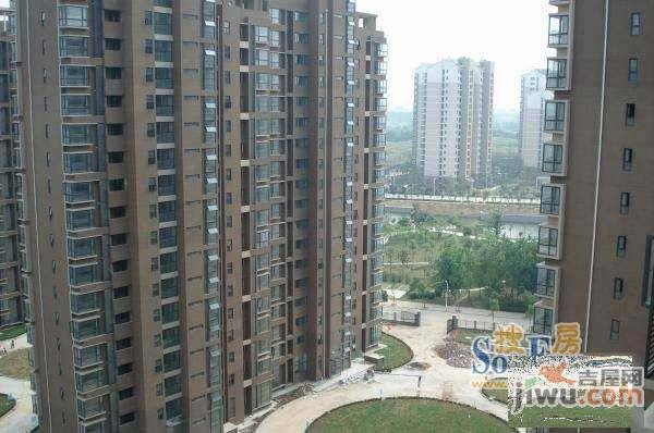 望湖城和欣家园实景图图片