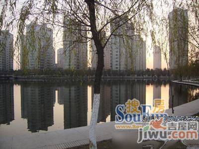 望湖城月桂苑实景图图片