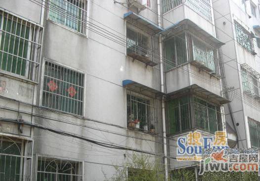 金光苑实景图图片