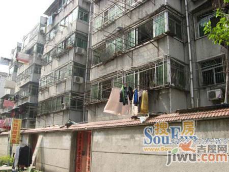 金光苑实景图图片