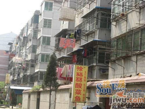金光苑实景图图片