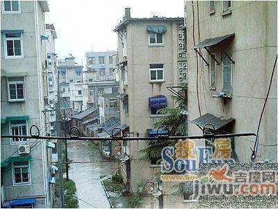 金光苑实景图图片