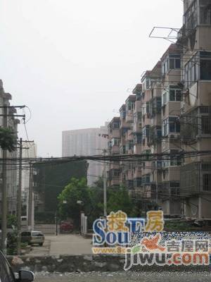 凤阳新村实景图图片