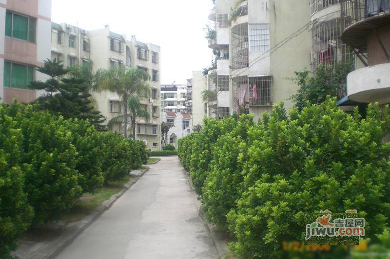 南园新村实景图图片
