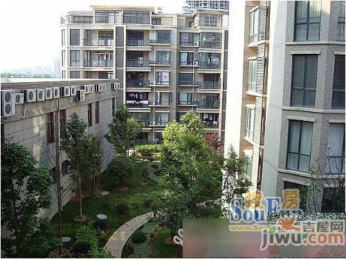 景治园实景图图片