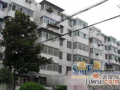和平花园实景图图片
