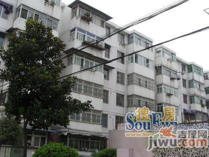 和平花园实景图图片