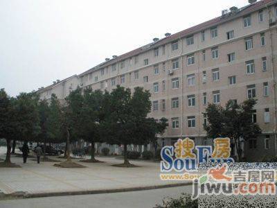 和平花园实景图图片